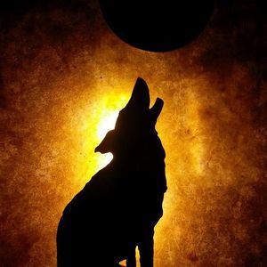 Meet your Posher, Cathy